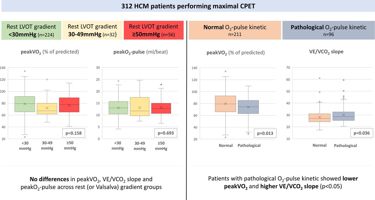 Exercise oxygen pulse kinetics in patients with hypertrophic ...